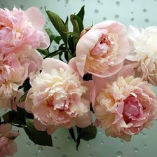 Схема вышивки «№245608»