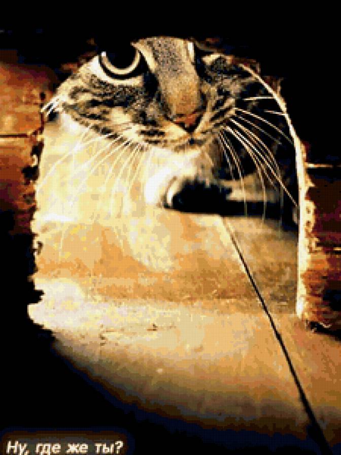 ну где же ты? - коты, кошки - предпросмотр