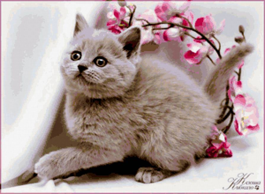 котенок - кошки - предпросмотр