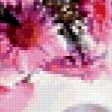 Предпросмотр схемы вышивки «натюрморт» (№245703)