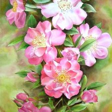 Схема вышивки «№245743»