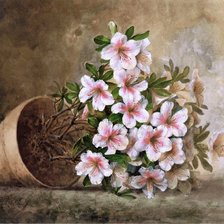 Схема вышивки «№245751»