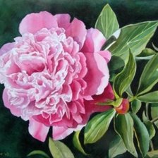 Схема вышивки «№245755»