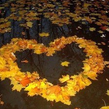 Схема вышивки «№245764»