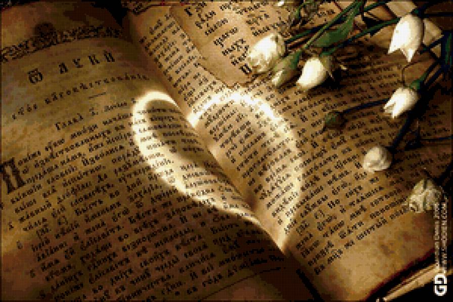 книга - книга - предпросмотр