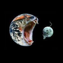 Схема вышивки «земля-кошка»