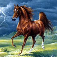 Схема вышивки «№245775»