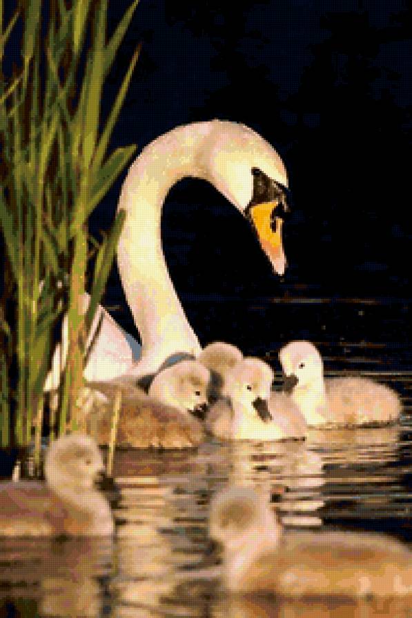 №245776 - предпросмотр