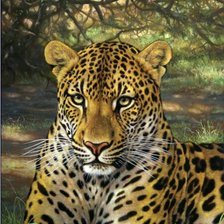 Схема вышивки «№245785»