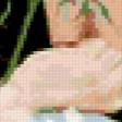Предпросмотр схемы вышивки «№245802»