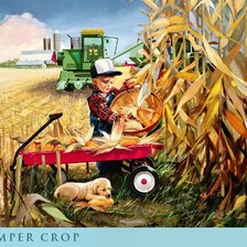 Схема вышивки «№245830»