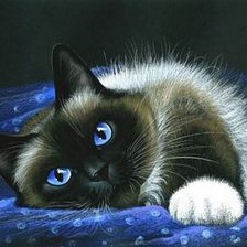 Схема вышивки «котенок»