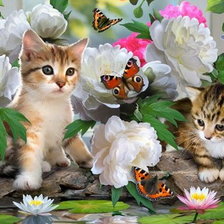 Схема вышивки «милые котята»