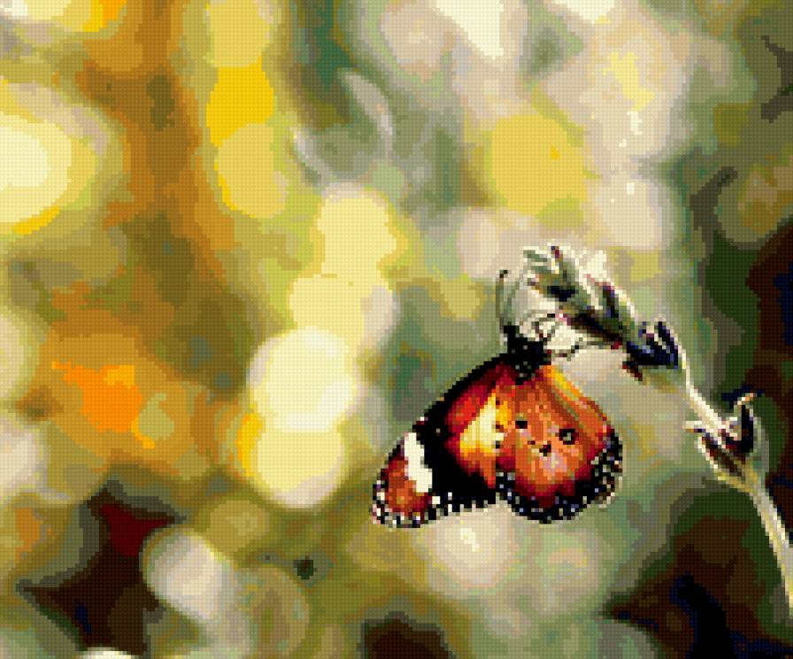 Бабочка - бабочка, цветок - предпросмотр