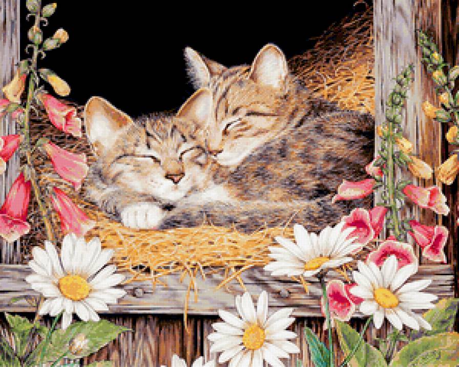 котята - сон, цветы - предпросмотр