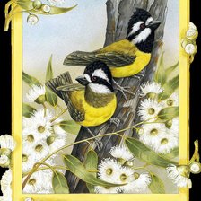 Схема вышивки «Серия Птицы»