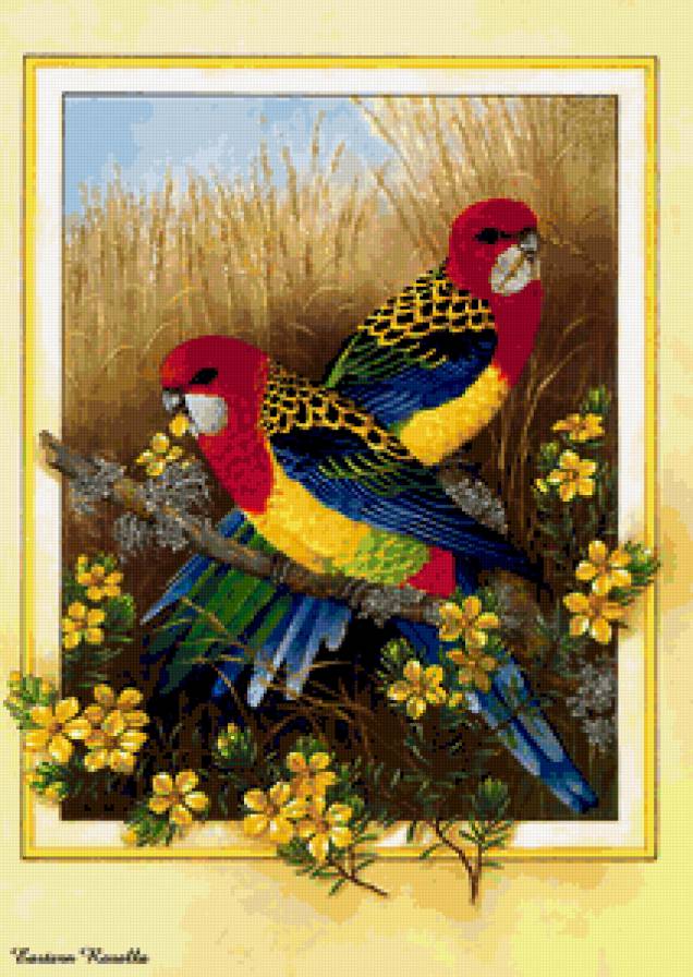 Серия Птицы - попугай, цветы - предпросмотр