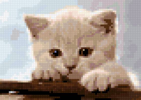 котик - предпросмотр