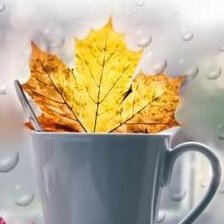 Схема вышивки «№246054»