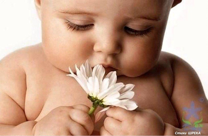 малыш - дети, малыши - оригинал