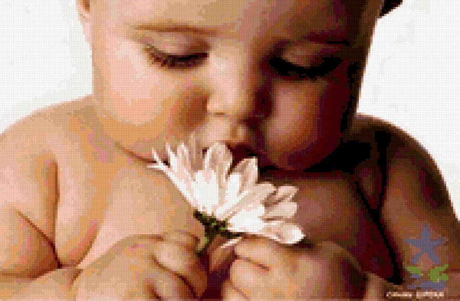 малыш - малыши, дети - предпросмотр