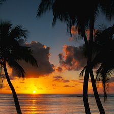 Схема вышивки «№246093»