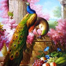 Схема вышивки «павлин»