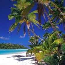 Схема вышивки «Остров»