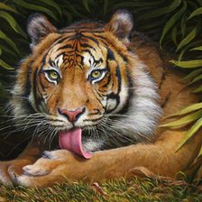 Схема вышивки «Я не голодный, но меня не трогать»