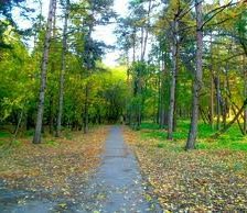 Схема вышивки «природа»