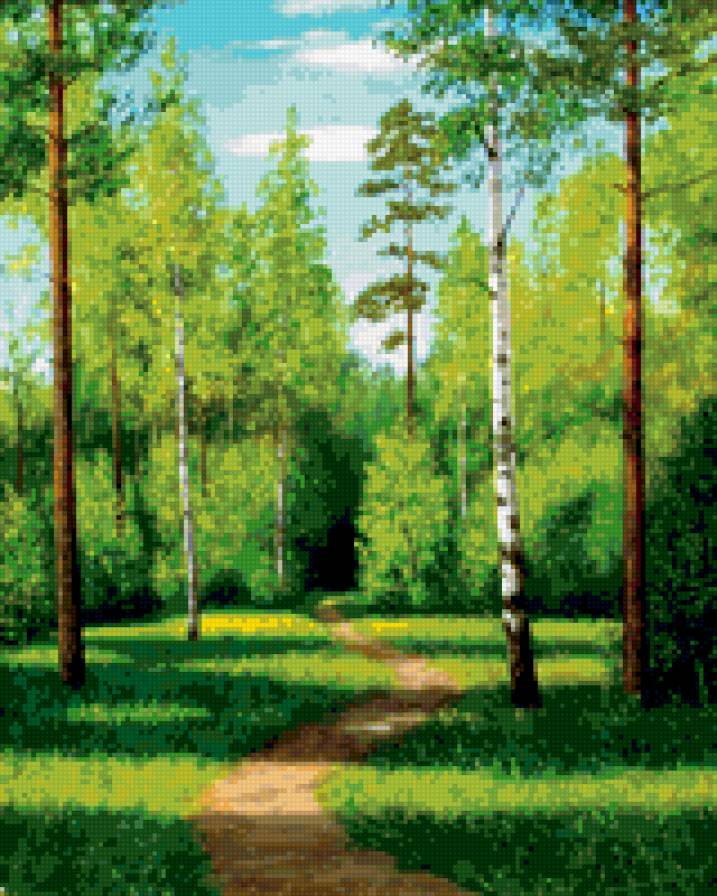 Тропинка в лесу - лес, береза, природа, пейзаж - предпросмотр