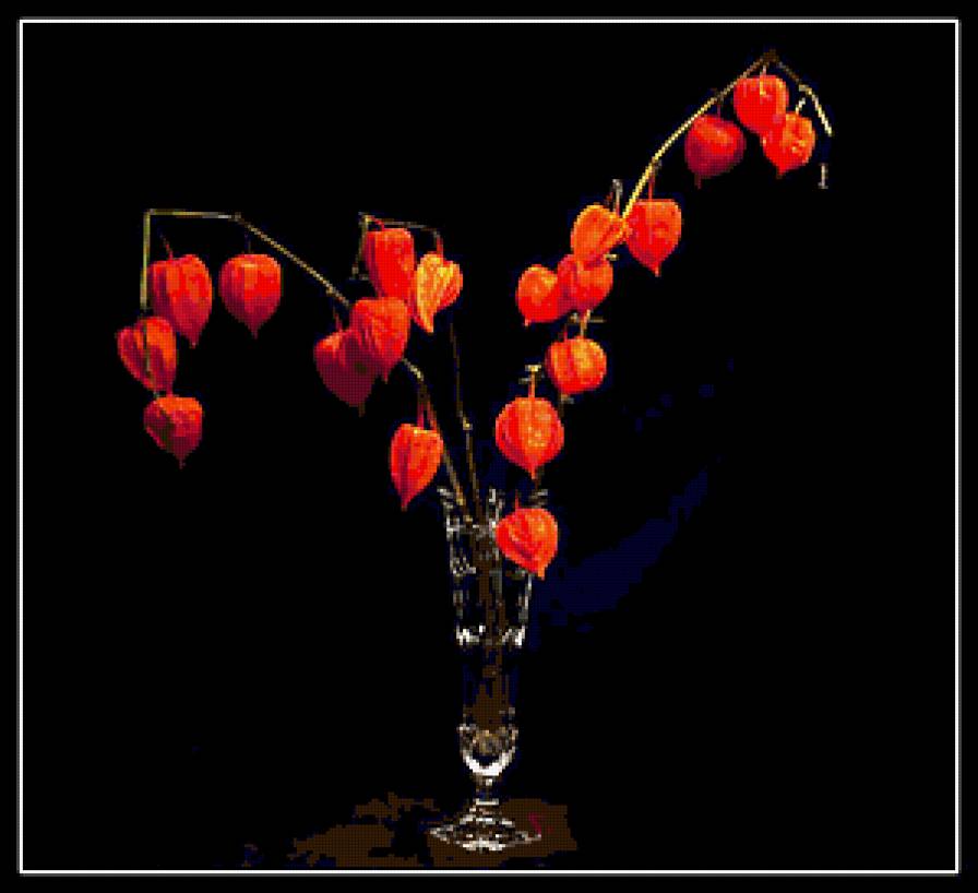 физалис - натюрморт, бокалы, цветы - предпросмотр