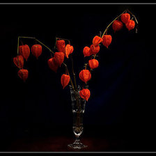 Схема вышивки «физалис»