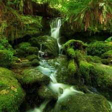 Схема вышивки «ПРИРОДА»