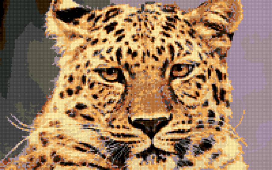 КИСА-БОЛЬШАЯ - предпросмотр