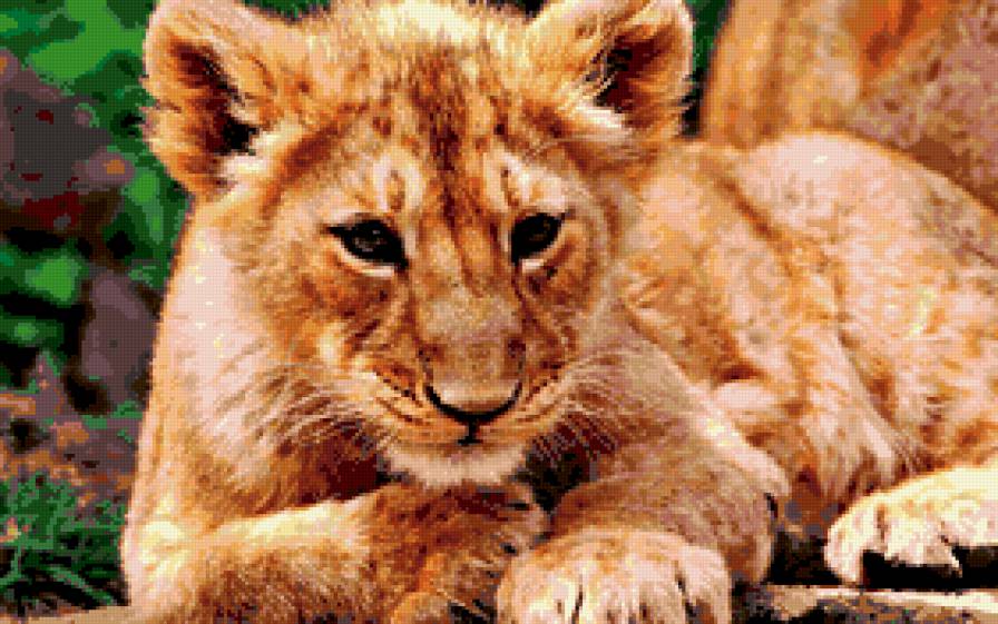 ЛЬВЕНОК))))))) - предпросмотр