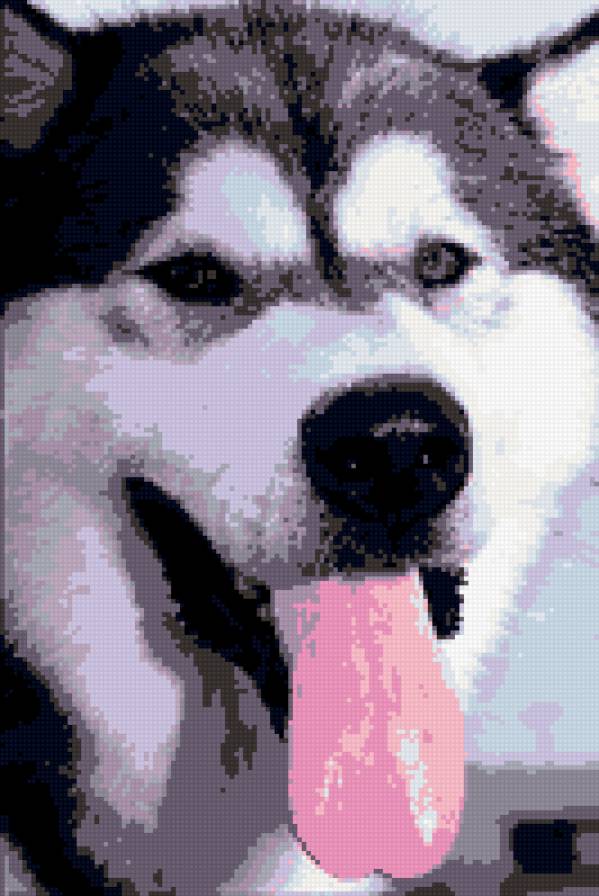 ЛАЙКА - предпросмотр