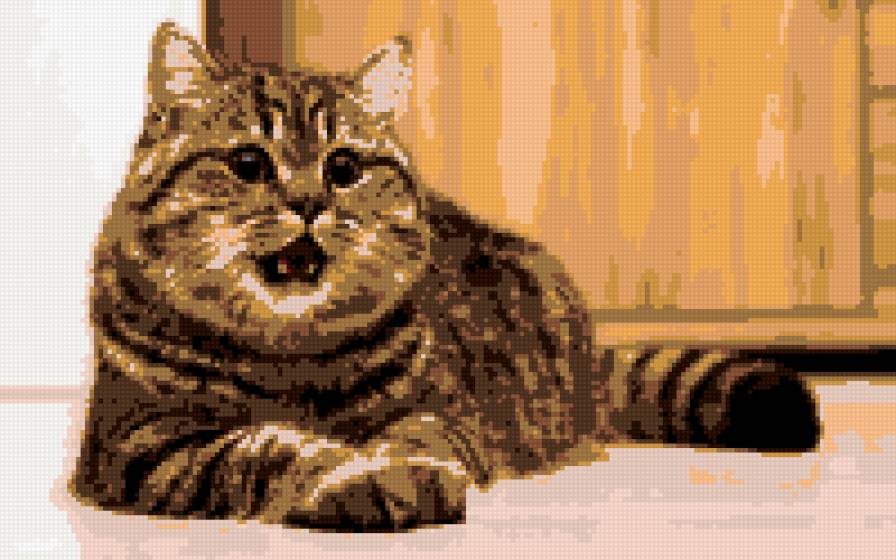 КОШАРА - предпросмотр