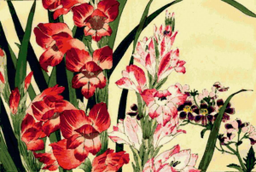 гладиолусы - гравюра, гладиолусы, цветы, япония - предпросмотр