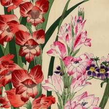 Схема вышивки «гладиолусы»