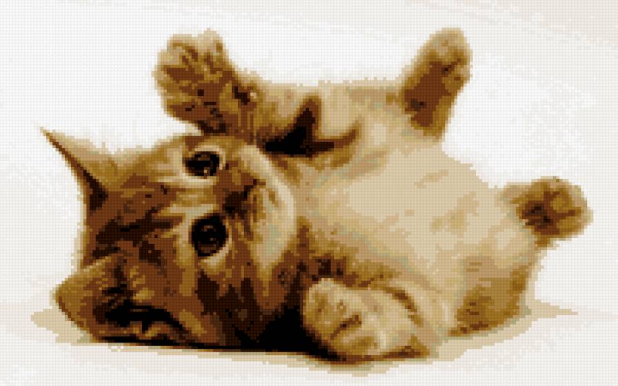 РЫЖИК - предпросмотр