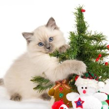 Схема вышивки «НОВЫЙ ГОД»