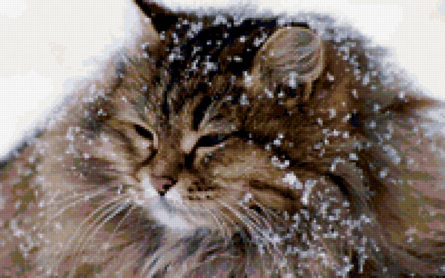 ПЕРВЫЙ СНЕГ - предпросмотр