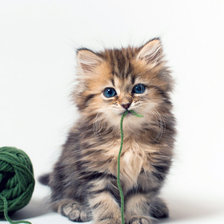 Схема вышивки «КЛУБОК НИТОК»