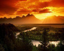 Схема вышивки «красота»