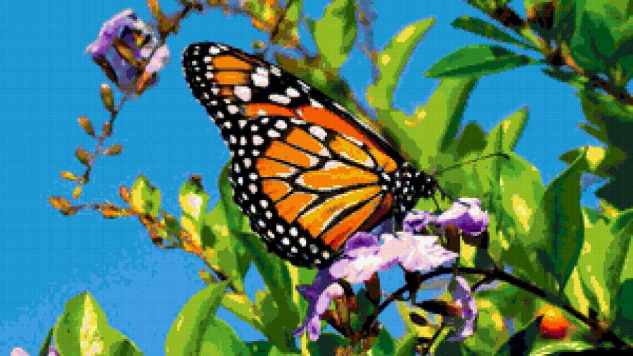 Бабочка - картина, цветы, бабочка, природа - предпросмотр