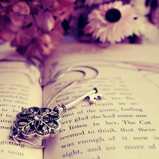 Схема вышивки «красота книги 2»