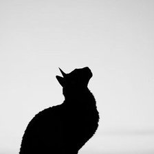 Схема вышивки «№246611»