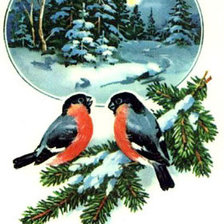 Схема вышивки «снегири»