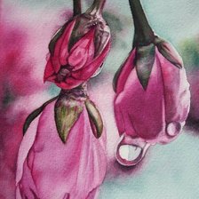 Схема вышивки «№246665»